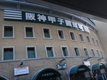 甲子園球場の名物、ツタが無い!!